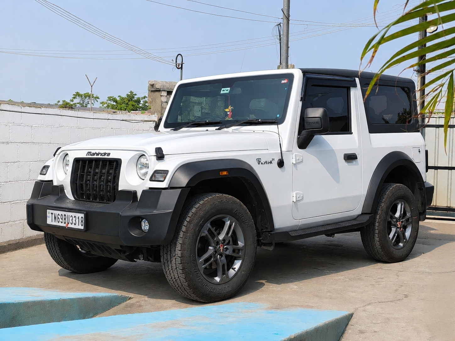 Professional car detailing service